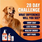Superfood Omega-3 Cream – 500ml 200ml 50ml Pet Salmon Oil for Skin & Coat Care, Anti-Itch Relief, Joint Comfort Support