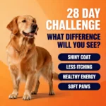 Superfood Omega-3 Cream – 500ml 200ml 50ml Pet Salmon Oil for Skin & Coat Care, Anti-Itch Relief, Joint Comfort Support - Image 7